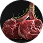 The Butcher Shop